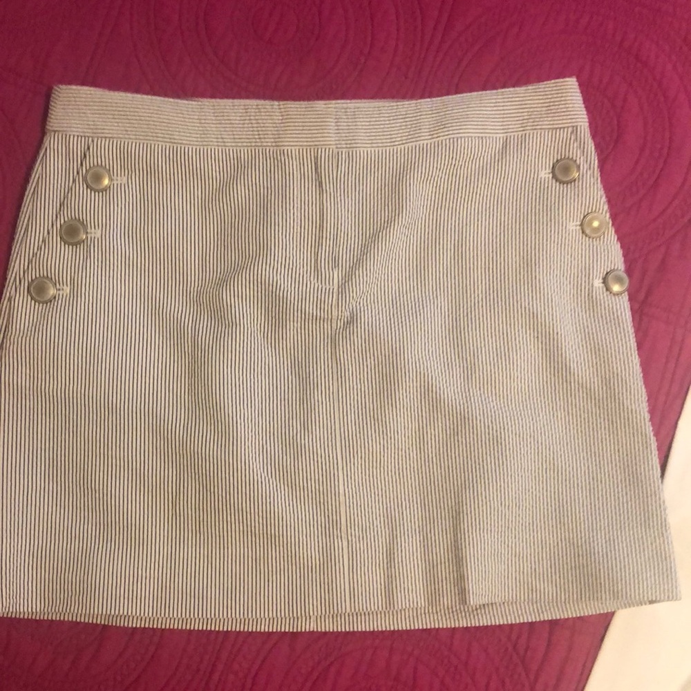 Skirt J crew